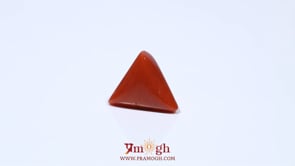 Red Coral - 4.6 Carat