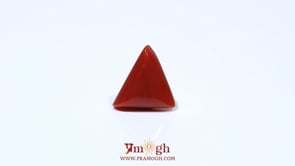 Red Coral - 4.53 Carat