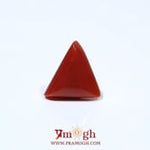 Red Coral - 4.53 Carat