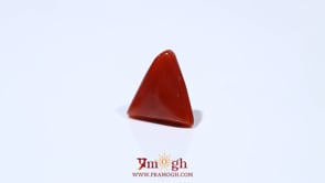Red Coral - 4.7 Carat