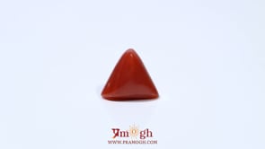 Red Coral - 4.8 Carat