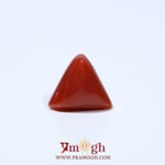 Red Coral - 4.8 Carat