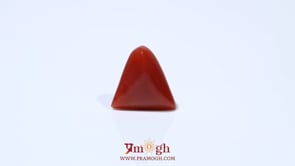 Red Coral - 4.65 Carat