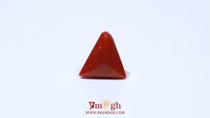 Red Coral - 4.57 Carat