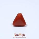 Red Coral - 4.7 Carat