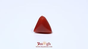 Red Coral - 4.63 Carat