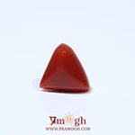 Red Coral - 4.63 Carat