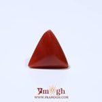 Red Coral - 4.48 Carat