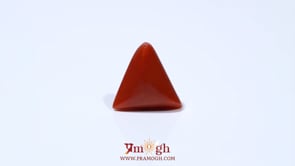 Red Coral - 4.8 Carat