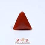 Red Coral - 4.8 Carat