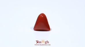 Red Coral - 4.56 Carat