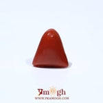 Red Coral - 4.56 Carat