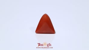 Red Coral - 4.58 Carat