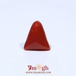 Red Coral - 4.55 Carat
