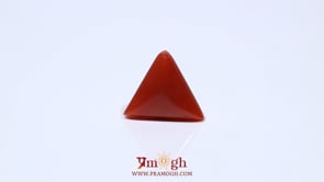 Red Coral - 4.52 Carat
