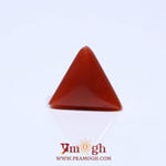 Red Coral - 4.52 Carat