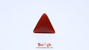 Red Coral - 4.7 Carat