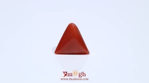 Red Coral - 4.53 Carat