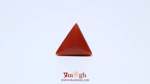 Red Coral - 4.6 Carat