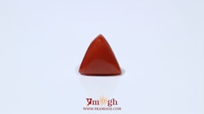 Red Coral - 4.55 Carat