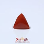 Red Coral - 4.55 Carat