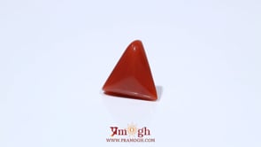 Red Coral - 4.8 Carat
