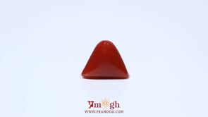 Red Coral - 4.7 Carat