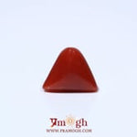 Red Coral - 4.7 Carat