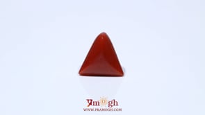 Red Coral - 4.6 Carat