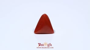 Red Coral - 4.55 Carat