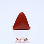 Red Coral - 4.55 Carat