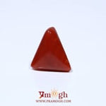 Red Coral - 4.6 Carat