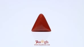 Red Coral - 4.55 Carat