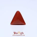 Red Coral - 4.55 Carat