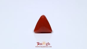 Red Coral - 4.55 Carat
