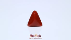 Red Coral - 4.72 Carat