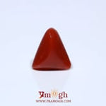 Red Coral - 4.72 Carat