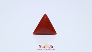 Red Coral - 4.57 Carat