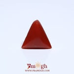 Red Coral - 4.6 Carat