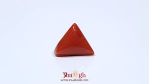 Red Coral - 4.65 Carat