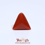 Red Coral - 4.57 Carat