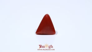Red Coral - 4.8 Carat