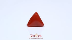 Red Coral - 4.7 Carat