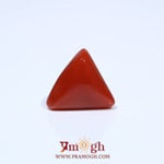 Red Coral - 4.7 Carat