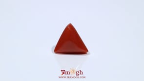 Red Coral - 4.85 Carat