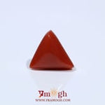 Red Coral - 4.85 Carat