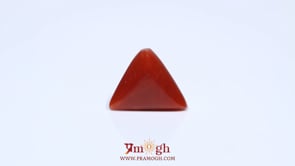 Red Coral - 4.8 Carat