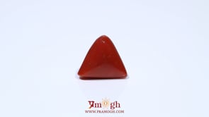 Red Coral - 4.95 Carat