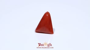 Red Coral - 4.8 Carat