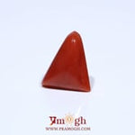 Red Coral - 4.8 Carat